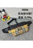 Burberry バーバリーバッグカバン 品番：X-LI-BUR-58274ラインで在庫確認とご注文の際、品番を教えてください