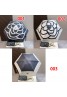 Chanel シャネル傘 品番：X-LI-CHA-58495ラインで在庫確認とご注文の際、品番を教えてください
