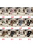 Chanel シャネル車用品 品番：X-LI-CHA-58686ラインで在庫確認とご注文の際、品番を教えてください