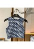 Dior ディオールtシャツ 品番：X-LI-DIO-58341ラインで在庫確認とご注文の際、品番を教えてください