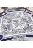 Dior ディオールマフラー 品番：X-LI-DIO-58593ラインで在庫確認とご注文の際、品番を教えてください